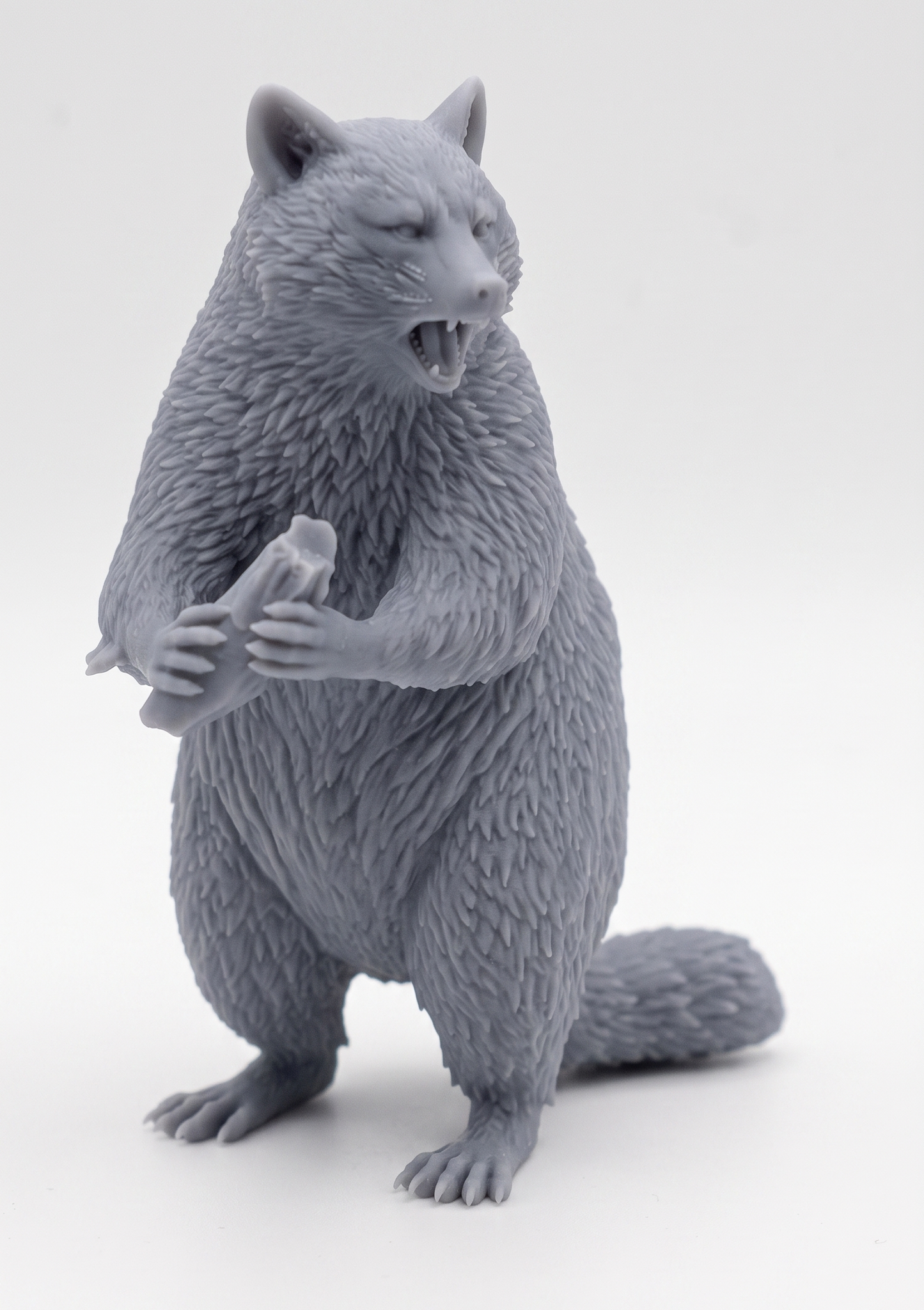 Mapache