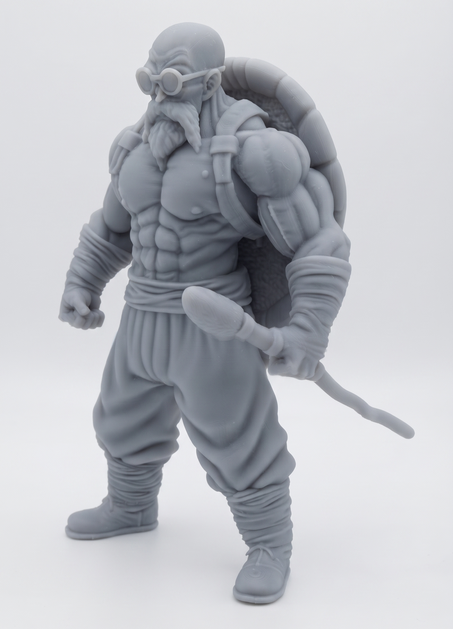 Muten Roshi Fantasía medieval