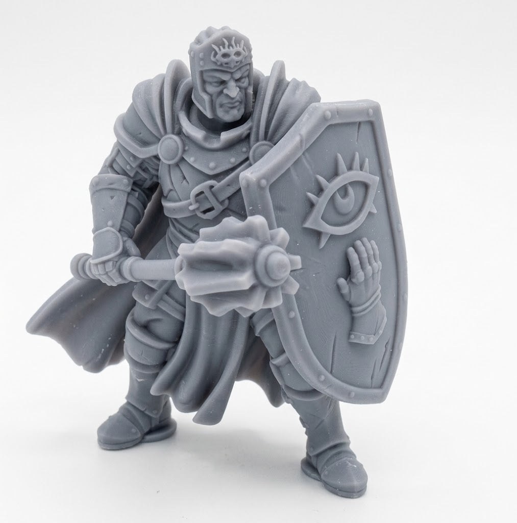 Humano paladín de Helm