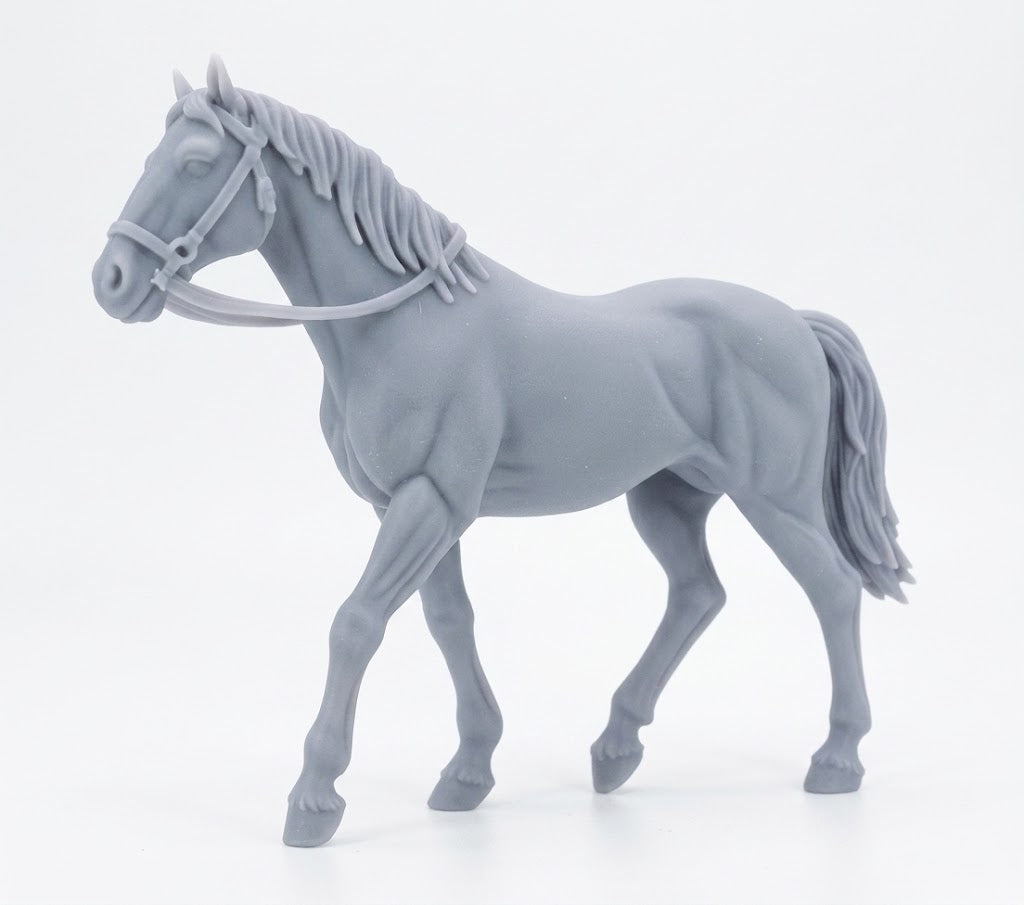 Caballo comun