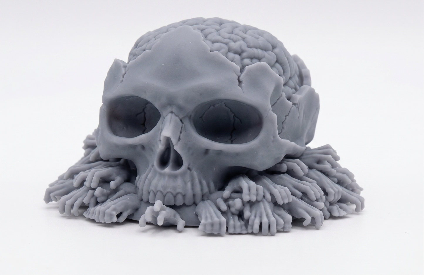 Cerebro gigante de urna ósea
