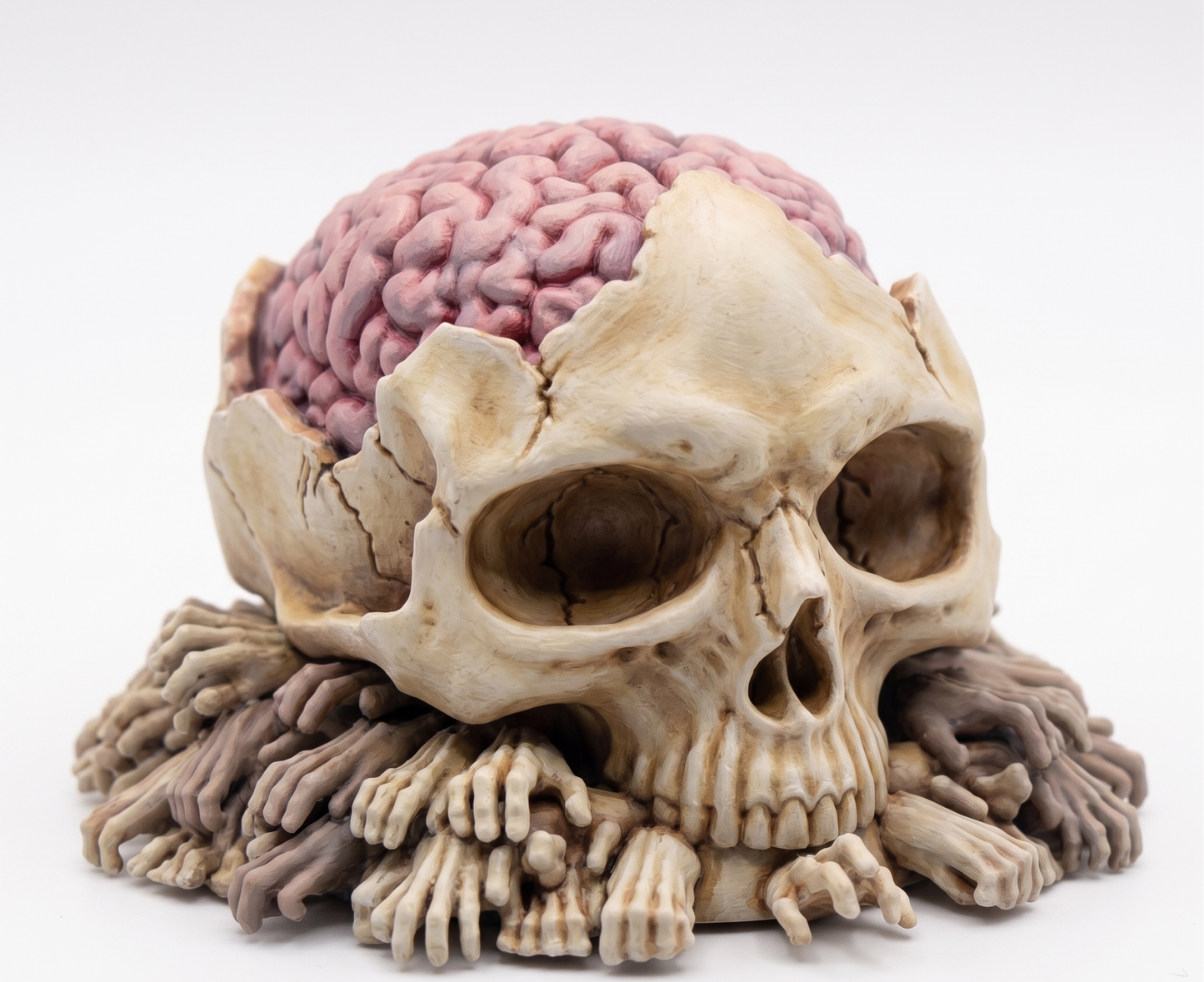 Cerebro gigante de urna ósea