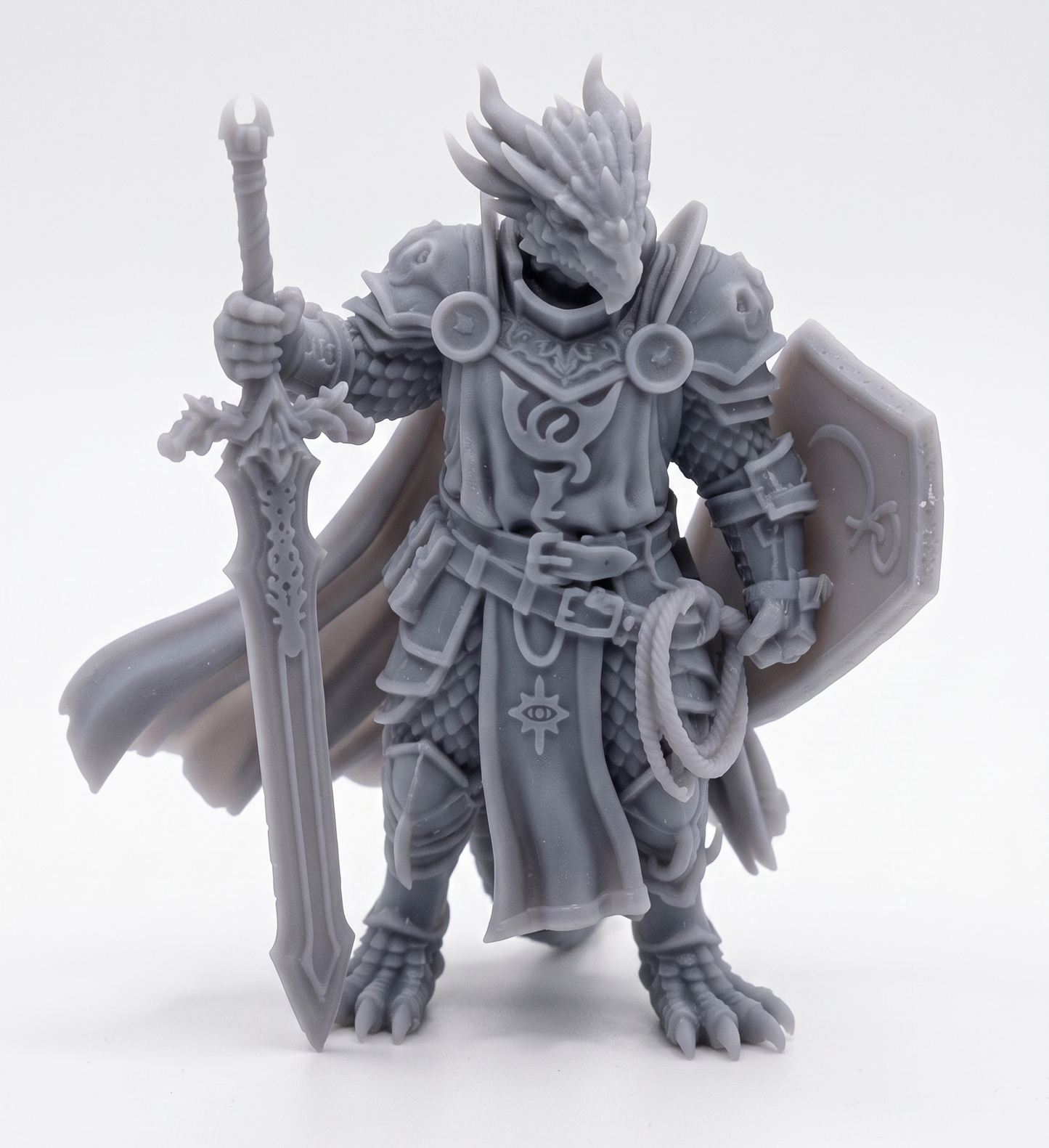 Draconido paladin
