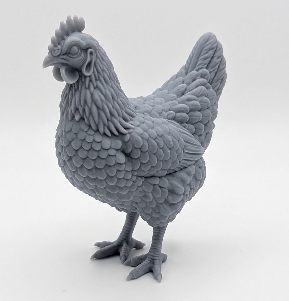 Gallina comun