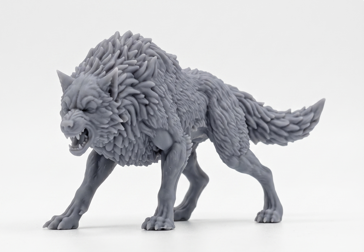 Lobo