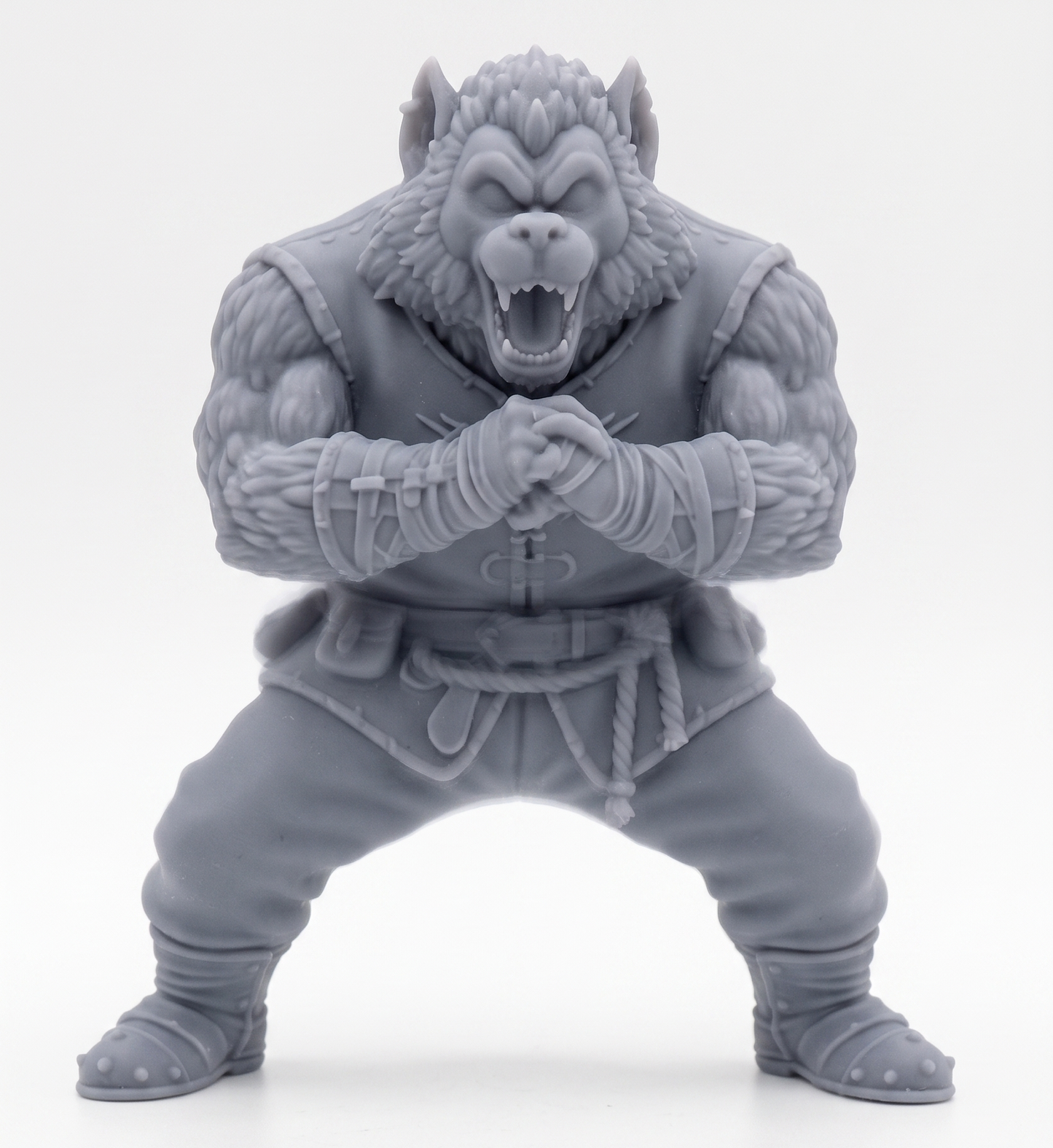 Lobo Hombre Fantasía medieval