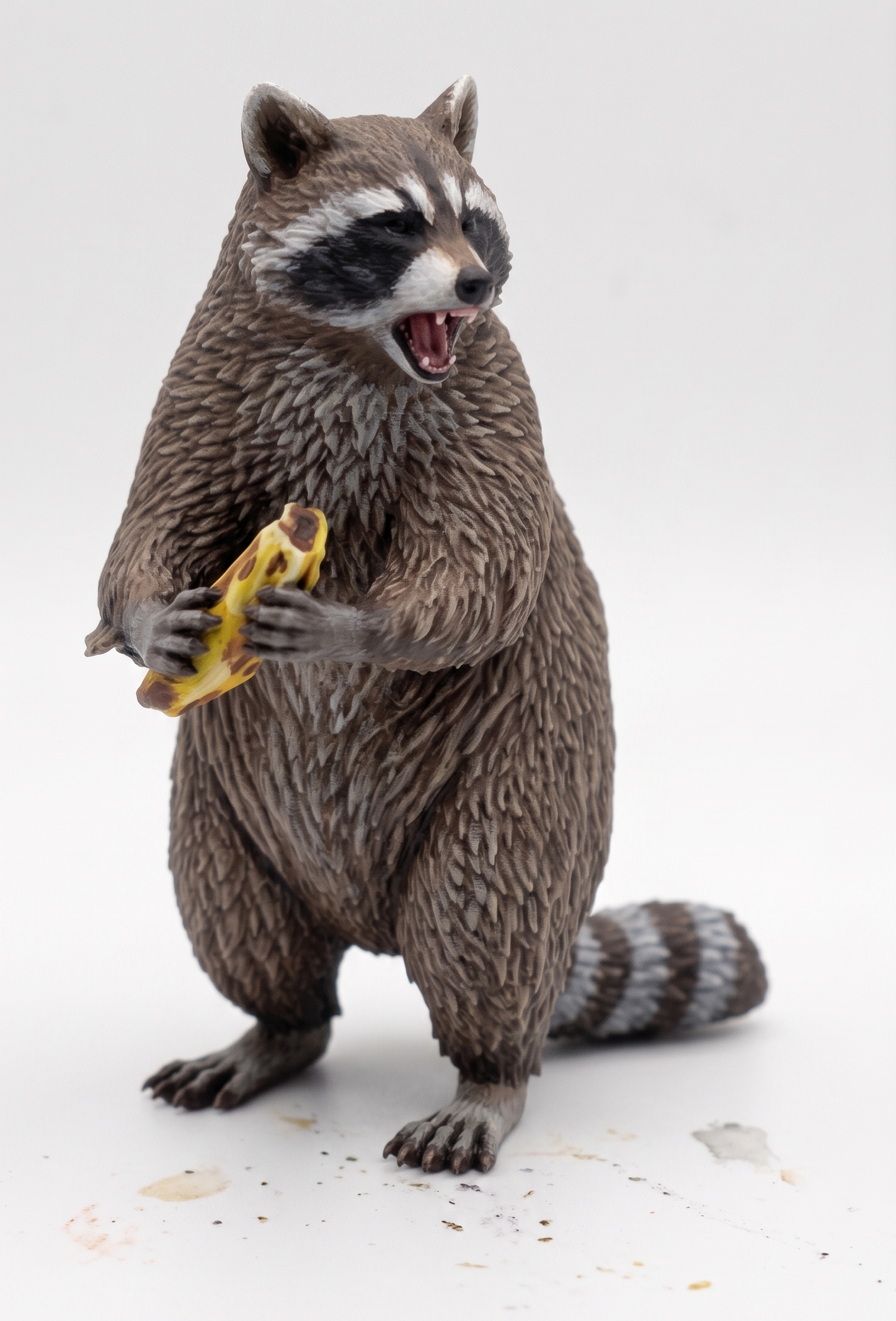 Mapache