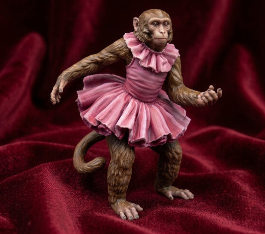 Picolo macaco
