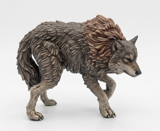 Lobo