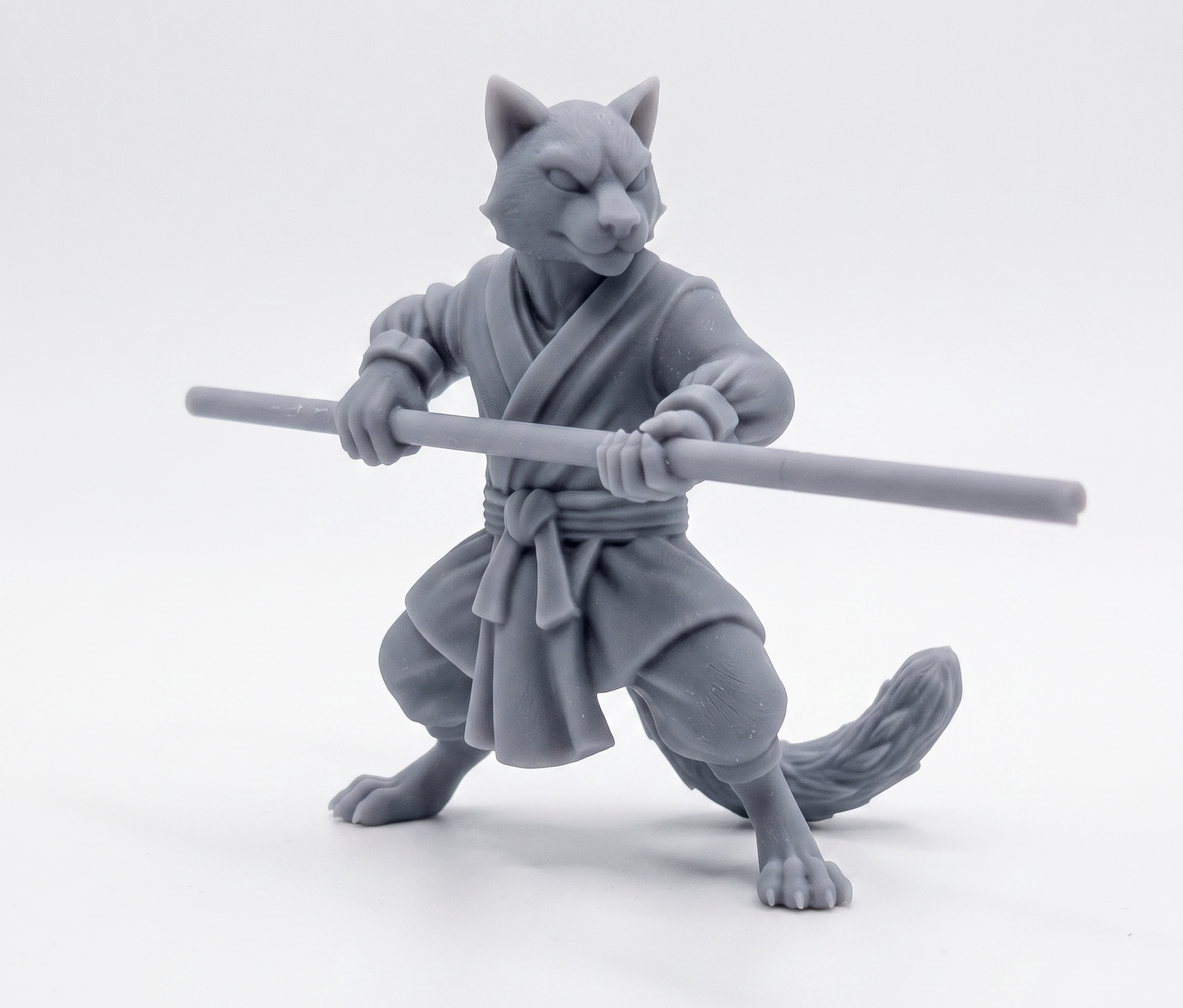 Tabaxi monje kimono